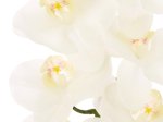 Dirbtinė gėlė orchidėja NOVELLY HOME GFQ-005, baltos sp., aukštis - 95 cm