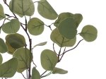 Dirbtinis augalas eukaliptas NOVELLY HOME DY1-2684Z, žalios sp., aukštis - 70 cm