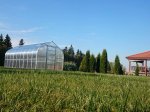 Šiltnamis KLASIKA Standart, 20 m2, su pamatu ir 6 mm polikarbonatinė danga, 2,5 x 8 m, lašo formos