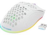 Belaidė žaidimų pelė DELTACO GAMING GAM-120-W, 70g svorio, RGB, SPCP6651, 400-6400 DPI, 1000 Hz, baltos sp.