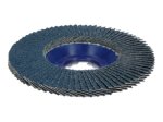 Tiesus žiedlapinis diskas BOSCH X-Lock, D 125 mm; K 40, tiesus