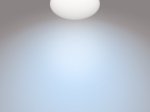 Lubinis LED šviestuvas PHILIPS Zarpy, 10 W, 4000 K, 1050 lm, IP44, 15000 val., 250 mm skersmens