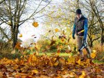 Akumuliatorinis lapų pūstuvas BOSCH Advanced Leaf Blower 36V-750, 36 V, 2,0 Ah akumuliatorius, kroviklis