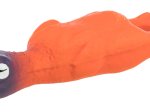 Žaislas šunims TRIXIE ANTIS, 14 cm