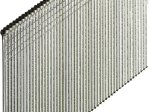 Apdailos vinys vidaus darbams SENCO Rh, 20°, 1,6 x 38 mm, 2000 vnt.