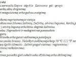 Stabdžių apkabos dažai K2 Caliper, žali, 400 ml