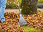 Vėduoklinis grėblys GARDENA PureLine, metalinis, reguliuojamas, plotis 30-50 cm, medinis kotas