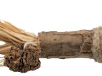 Žaislas katėms TRIXIE Matatabi, lazdelė su kutais, 24 cm