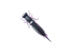 Silikoninis masalas LARVA 1,6, 4cm, įvairių spalvų