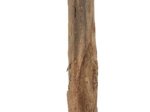 Žaislas katėms TRIXIE Matatabi, lazdelė su katžolės kamuoliuku, 11 cm
