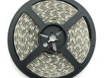 Šviesos diodų juosta AVIDE Smd2835, LED 5 m, 12 W / m, IP65, 4000K, 12V, 120 laipsnių, 1320 lm / m, 25.000 val.