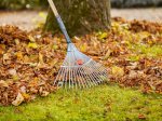 Vėduoklinis grėblys GARDENA PureLine, metalinis, reguliuojamas, plotis 30-50 cm, medinis kotas