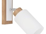 Kryptinis šviestuvas GLOBO Rowena, E27, 1 x 60W, 230V, matinės baltos spalvos, 103 x 250 x 220 mm, 15977-1