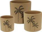 Kambarinis keraminis vazonas Palmės, rudos sp., 16,5 x 16,5 x 15 cm.