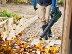 Akumuliatorinis lapų pūstuvas BOSCH Advanced Leaf Blower 36V-750, 36 V, 2,0 Ah akumuliatorius, kroviklis