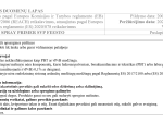 Gruntas SVP Feesto, rudi, aerozoliniai, 400 ml