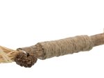 Žaislas katėms TRIXIE Matatabi, lazdelė su kutais, 24 cm