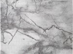 Kilimas Pico, 120 x 170 cm, 70% polipropilenas, 30% poliesteris, pilkos 23270 295 spl., 700706