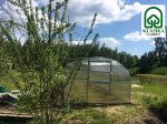 Šiltnamis BALTIC LT, 6 m2, 4 mm polikarbontinė danga, 3 x 2 m, arkos formos