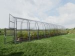 Šiltnamis BALTIC LT, 30 m2, 4 mm polikarbonato danga, 3 x 10 m, arkos formos