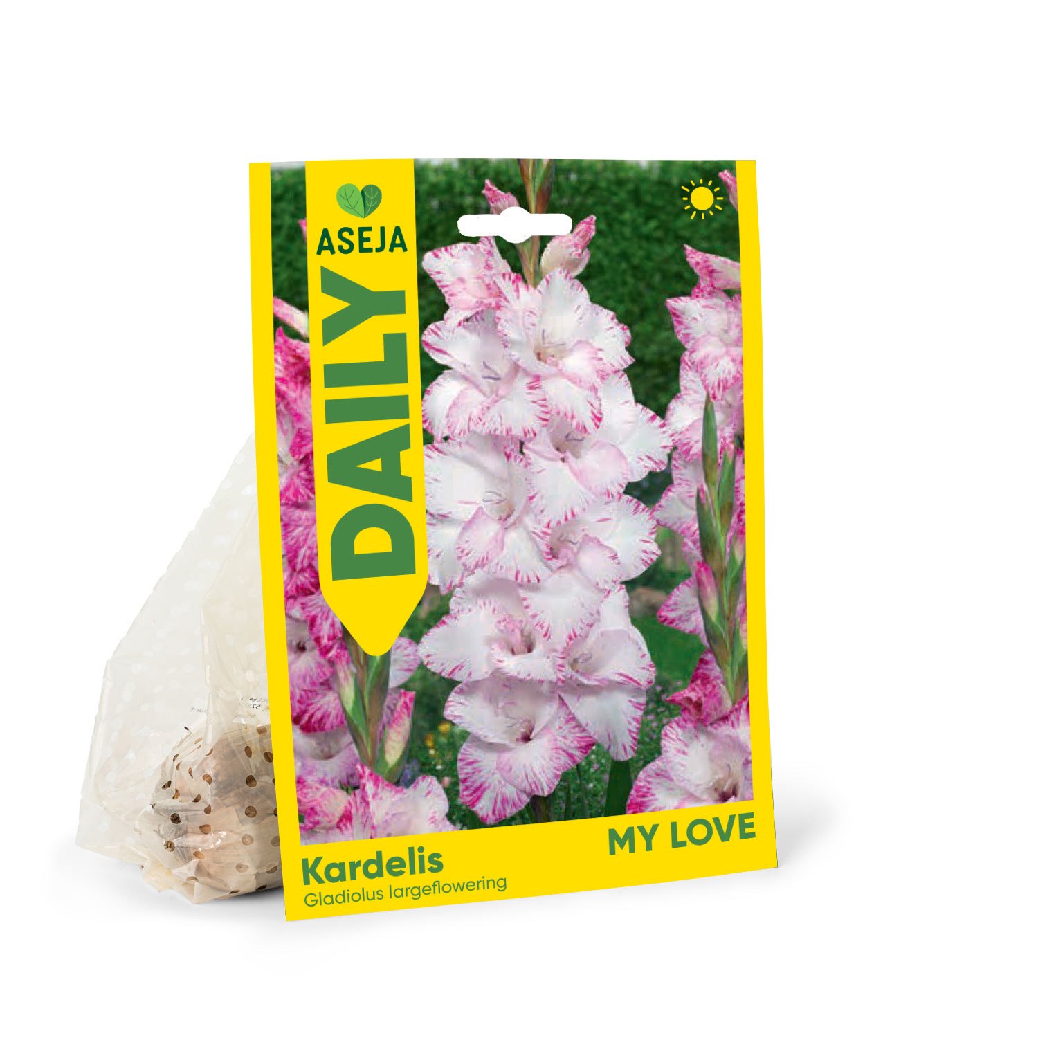 Didžiažiedžio kardelio svogūnėliai ASEJA Daily My Love, 3 vnt., 10/12, 83990110, (P)