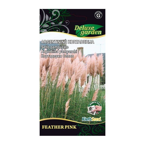 Gėlių sėklos, argentininė kortaderija Feather pink, 1443, G