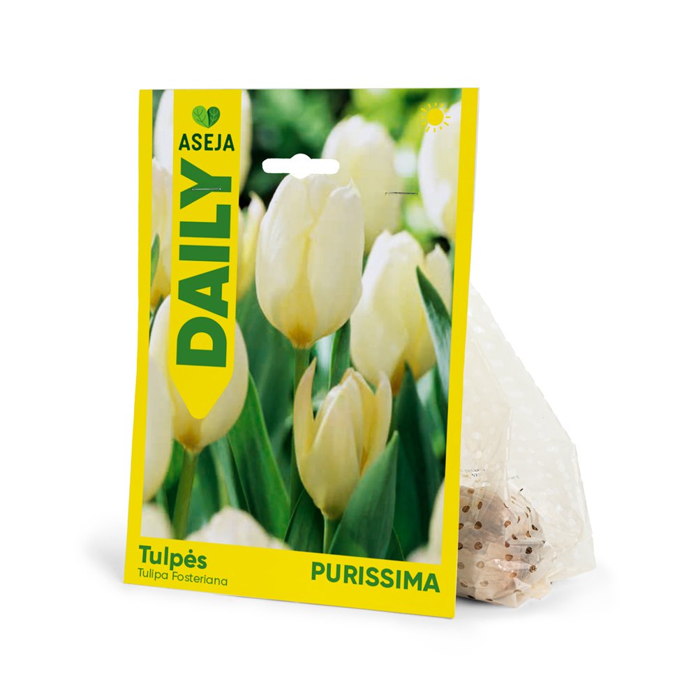 Fosterio tulpės Purissima svogūnėliai ASEJA DAILY, 3 vnt., 10/11, 84060510, (R)