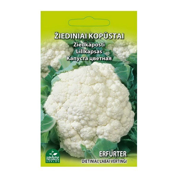 Sėklos daržovių, žiediniai kopūstai, (02-07mėn)