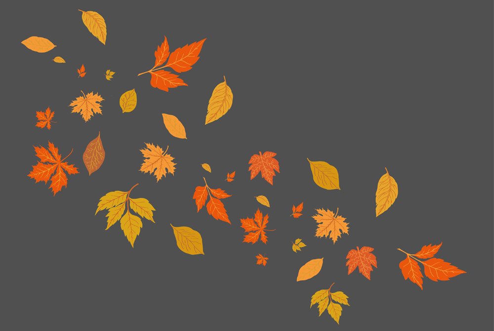 Kilimėlis LAKO MODERN PRINTED KLEINE BLATTER, 50 x 75 cm, 100% PES, pagrindas PVC, pilkas