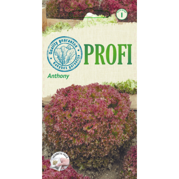 Daržovių sėklos, sėjamosios salotos Anthony, 20 s., 9080, I