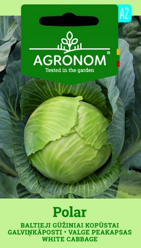 Daržovių sėklos, AGRONOM Kopūstai baltieji gūžiniai POLAR, 2 g.