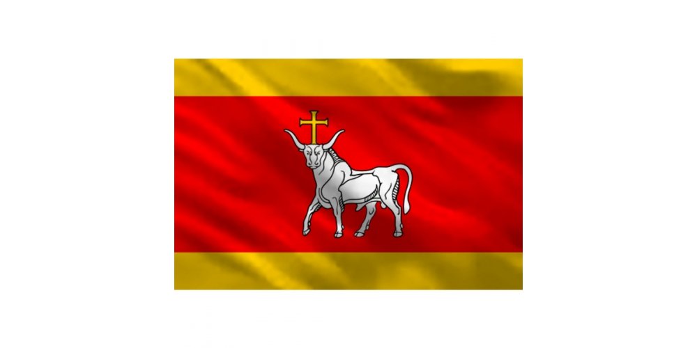 Kauno miesto vėliava, 100 x 170 cm, vėliavos kotui