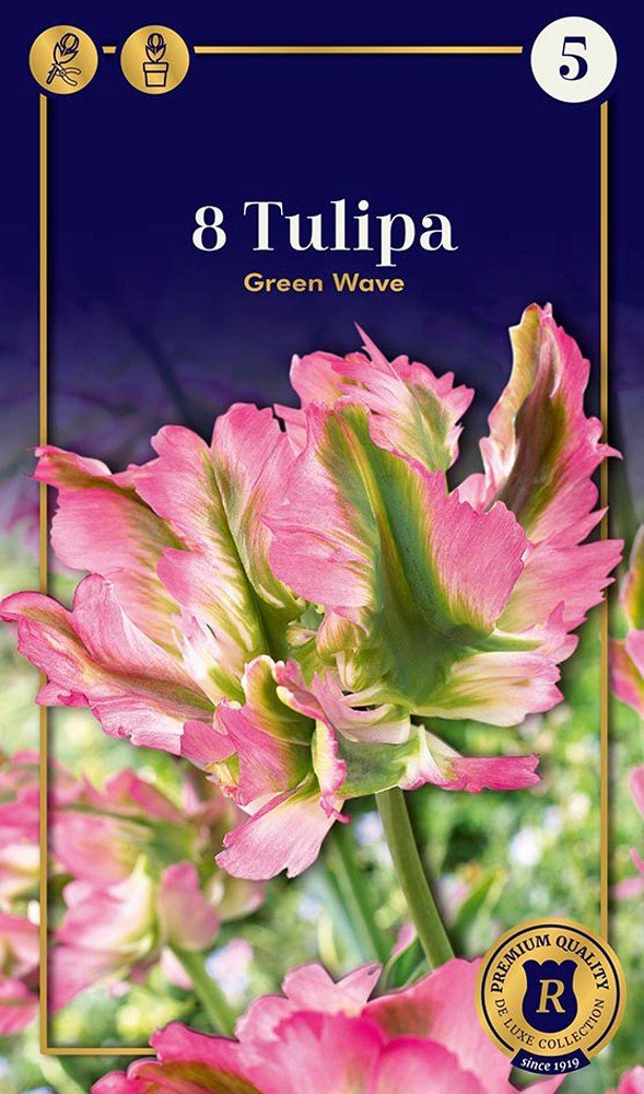Papūginių tulpių Green Wave svogūnėliai, 6 vnt., 12/+, Supreme, 618448, (R)