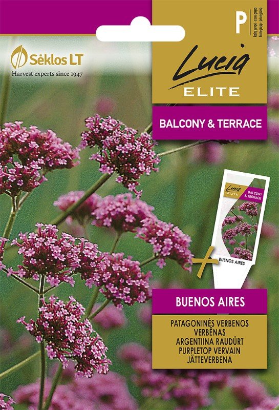 Gėlių sėklos, LUCIA ELITE ELN - Verbenos patagoninės, BUENOS AIRES, O, 0,2 g.