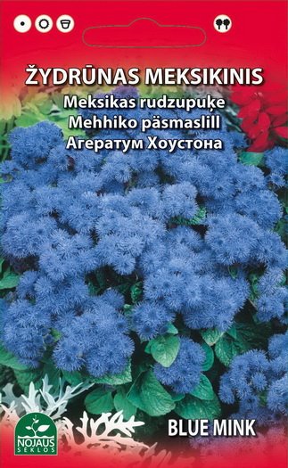 Sėklos gėlių, žydrūnas meksikinis, (02-07mėn), 0,3 g