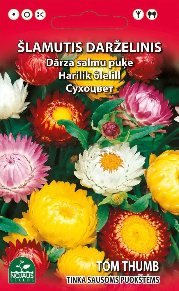 Sėklos gėlių, šlamutis darželinis, 0,5 g (02-07mėn)