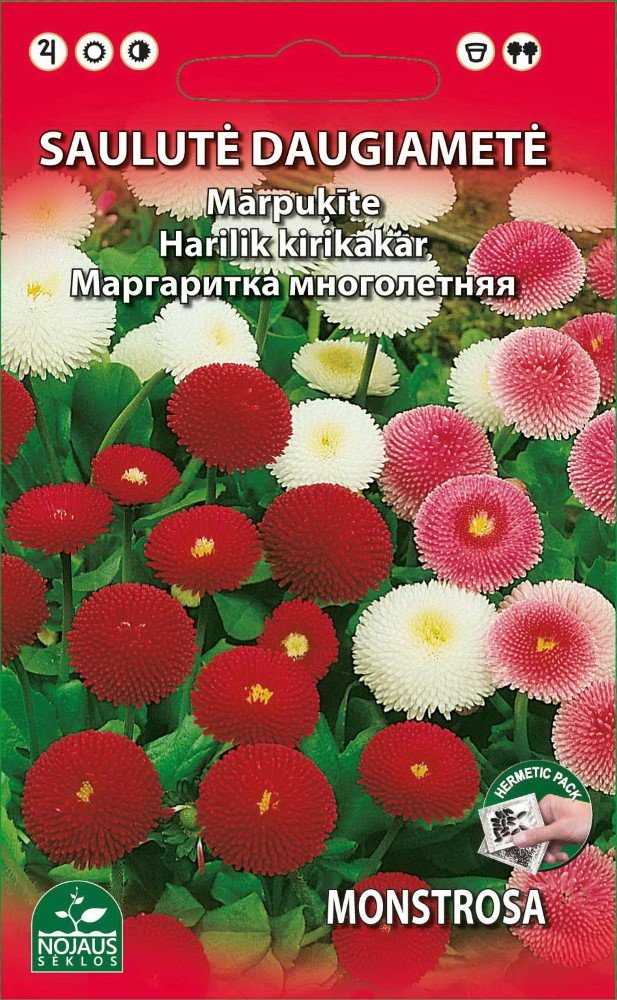 Sėklos gėlių, saulutė mišinys, 0,1gr
