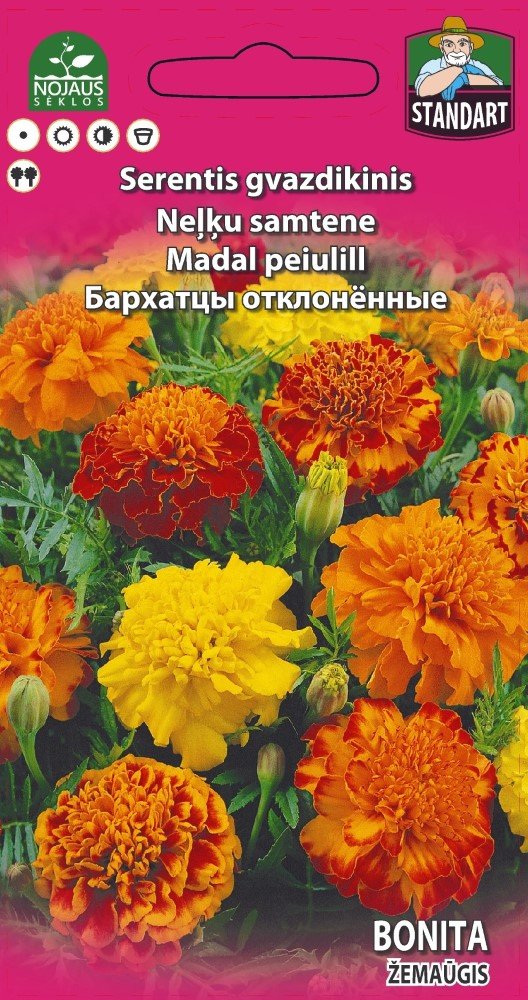 Sėklos gėlių, serentis gvazdikinis Standart, (02-07mėn)
