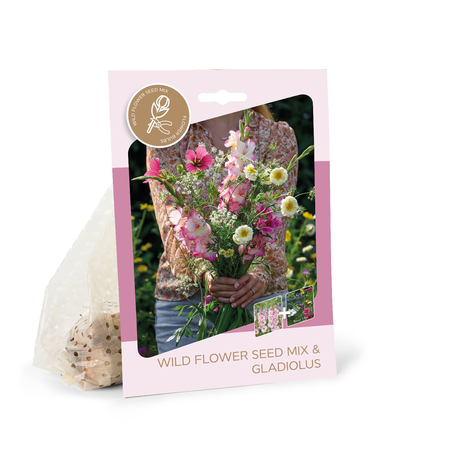 Didžiažiedžių kardelių svogūnėliai ASEJA Priscilla, 10 vnt., 10/+, Bouquet, 87461008, (P)