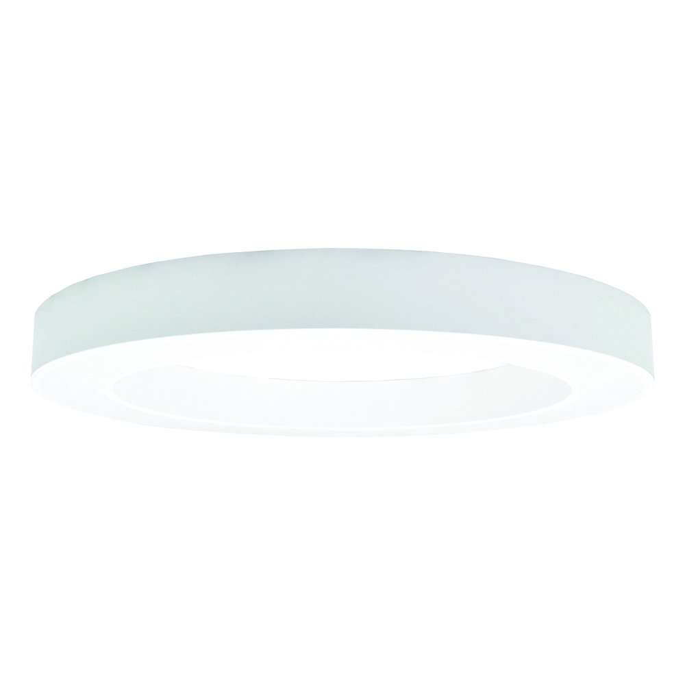 Pakabinamas LED šviestuvas TOPE, 48W, 3000-6500K, 230V, 4320lm, IP40, 80 cm skersmuo, baltos spalvos