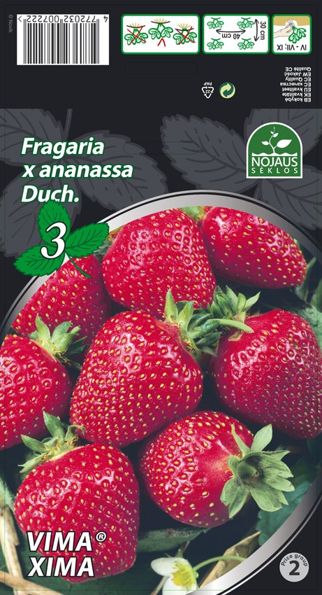 Braškių daigai (frigo) Vima® Xima, 3 vnt.