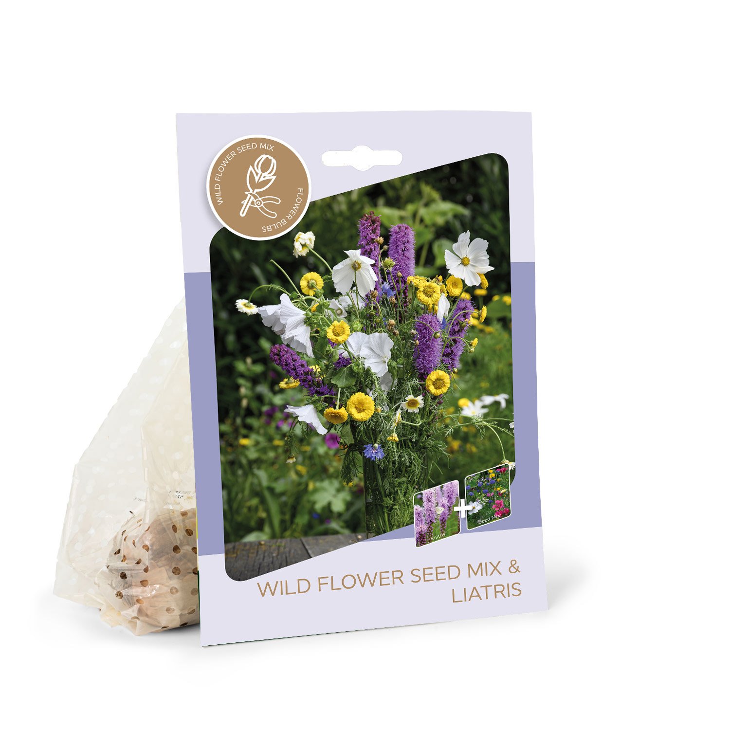 Varpotojo liatrio svogūnėliai ASEJA Purper, 15 vnt., 8/10, Bouquet, 87461308, (P)