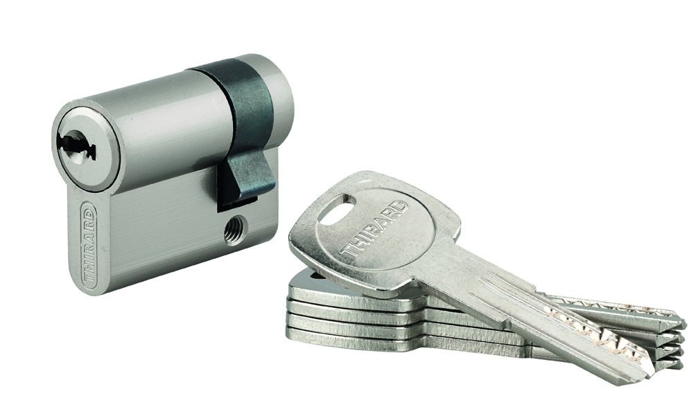 Spynos cilindras THIRARD, Trafic 6, 5 raktai, žalvarinis, nikeliuotas, 30 x 10 mm, 293164