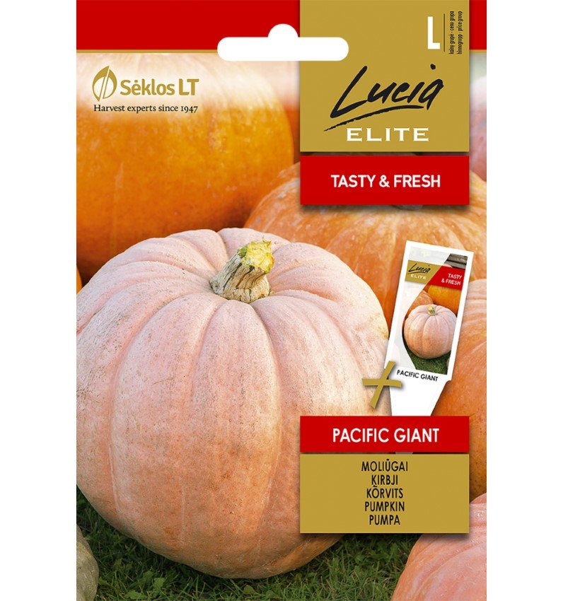 Daržovių sėklos, LUCIA ELITE ELN-Moliūgai pacific giant, L, 3g