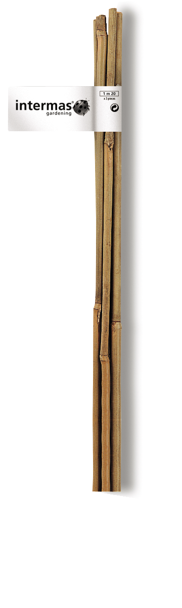 Bambukinė atrama 3 vnt., aukštis 120 cm.