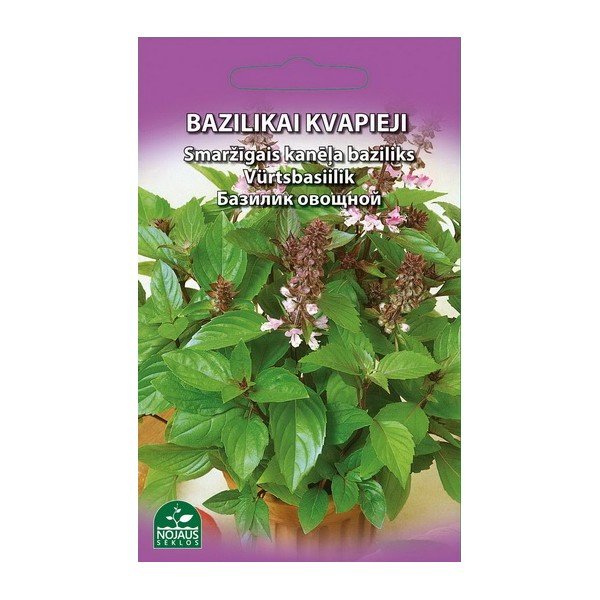 Sėklos, cinamoninis bazilikas, (02-07 mėn), 0,3 g