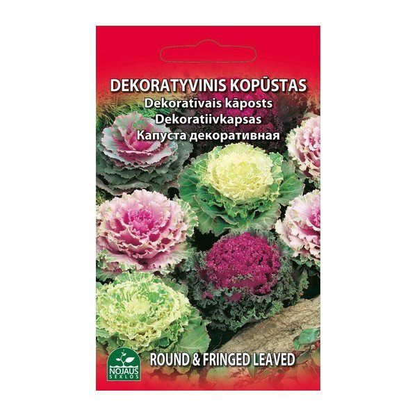Sėklos gėlių, kopūstas, dekoratyvinis