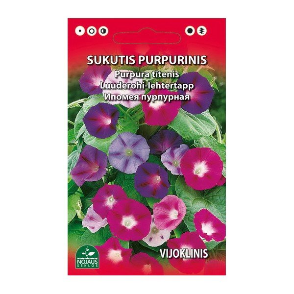 Sėklos gėlių, vijoklis sukutis, purpurinis, (02-07mėn), 2 g