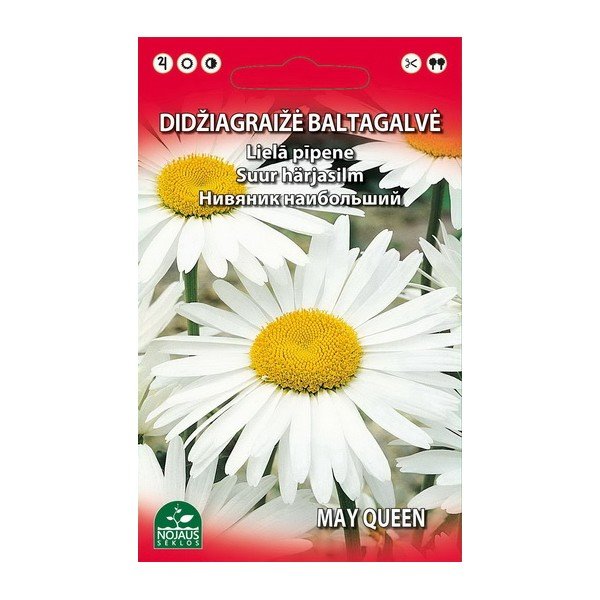Sėklos gėlių, baltagalvė didžiagraižė, 0,3 g (02-07mėn)