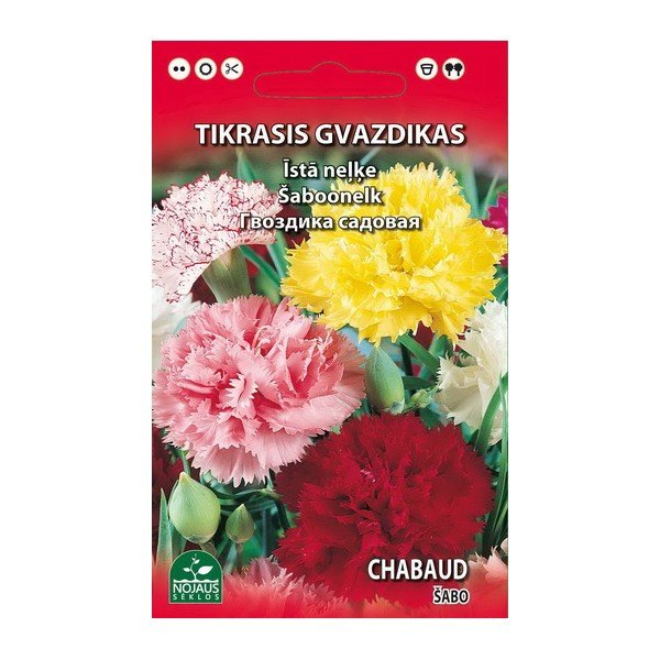 Sėklos gėlių, gvazdikas ŠABO mišinys, (02-07mėn), 0,2 g